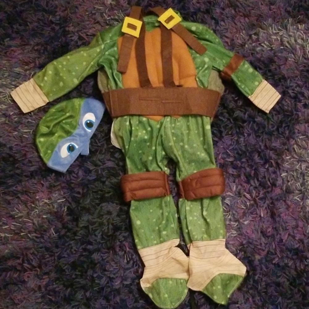 Teenage Mutant Ninja Turtle Leonardo